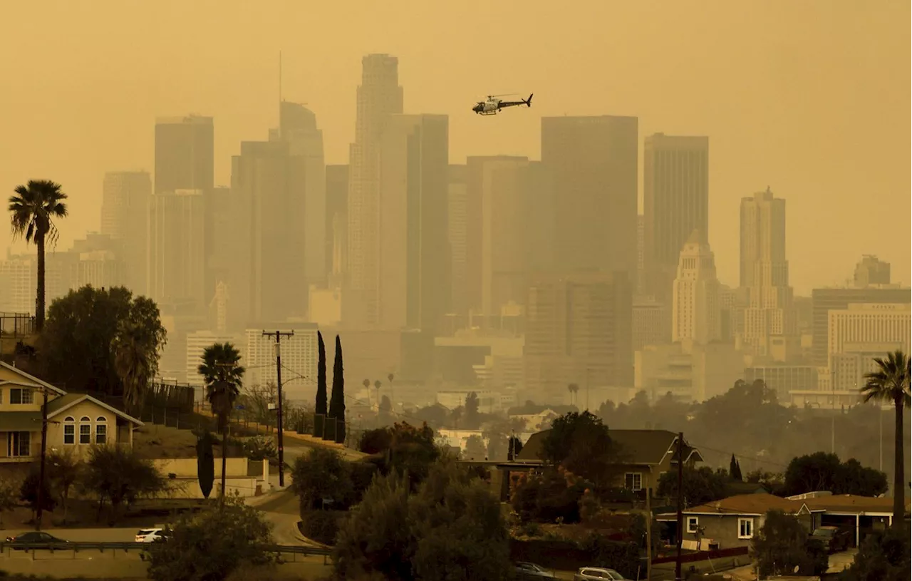 Des incendies dévastateurs ravage Los Angeles