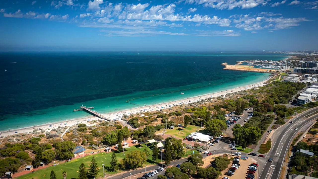 Coogee Beach Closed After Hundreds of Dead Fish Wash Ashore