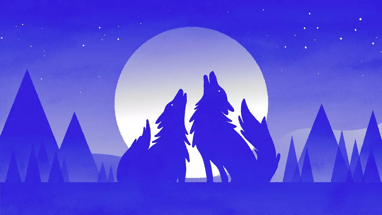 January's full Wolf Moon is arriving: What to know