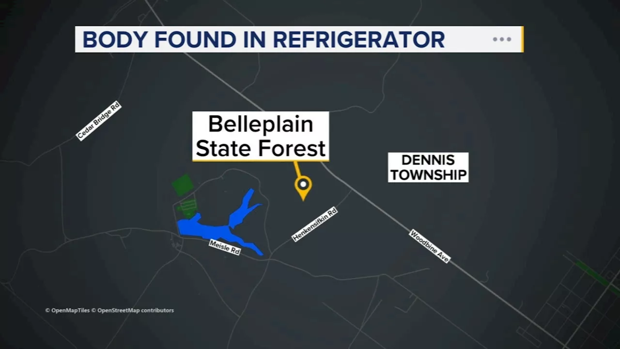 Man facing charges after girlfriend's body found in refrigerator in New Jersey forest: police