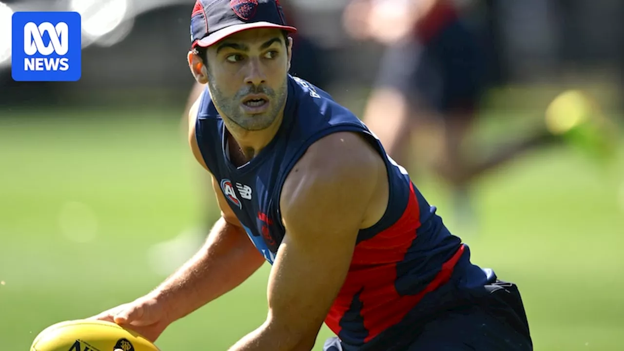 Christian Petracca cracks rib during Melbourne pre-season training as injury woes continue