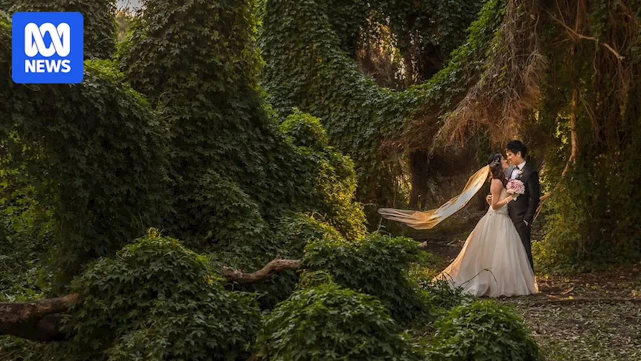 Perth's Secret Garden Transformed From Tourist Trap to Thriving Wetland