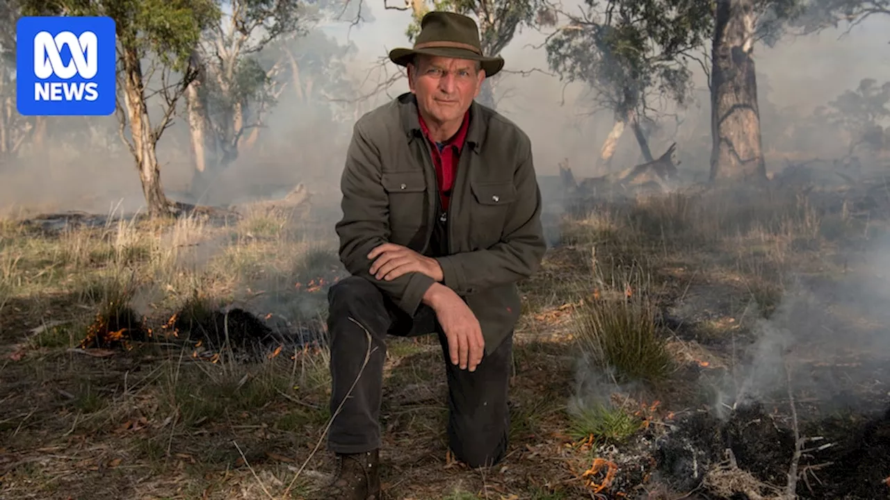 Scientists say fire-loving Tasmanian blue gums not to blame for LA fires