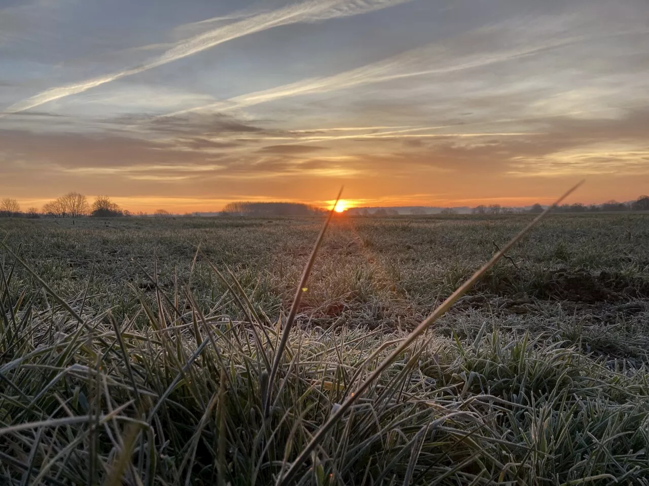 Retour du froid : attention aux gelées, presque toute la France concernée ce week-end