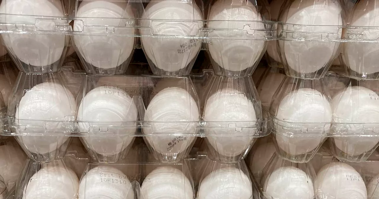 Egg Prices Soar as Bird Flu Continues to Impact Supply