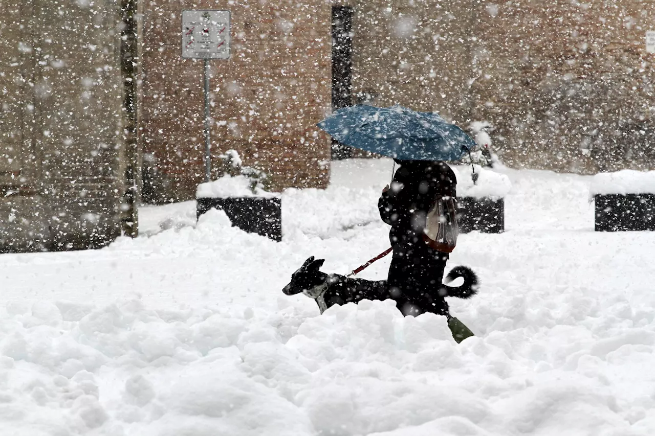 Gelo artico in arrivo in Italia: temperature sotto i -5 gradi