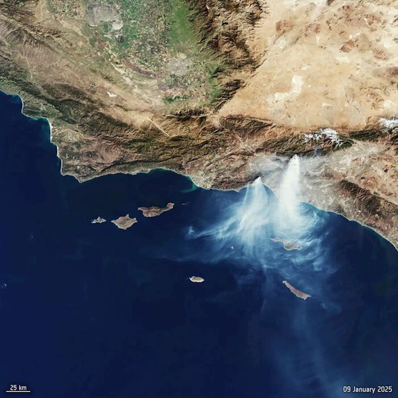 Incendi a Los Angeles: La siccità e il cambiamento climatico alimentano il fuoco