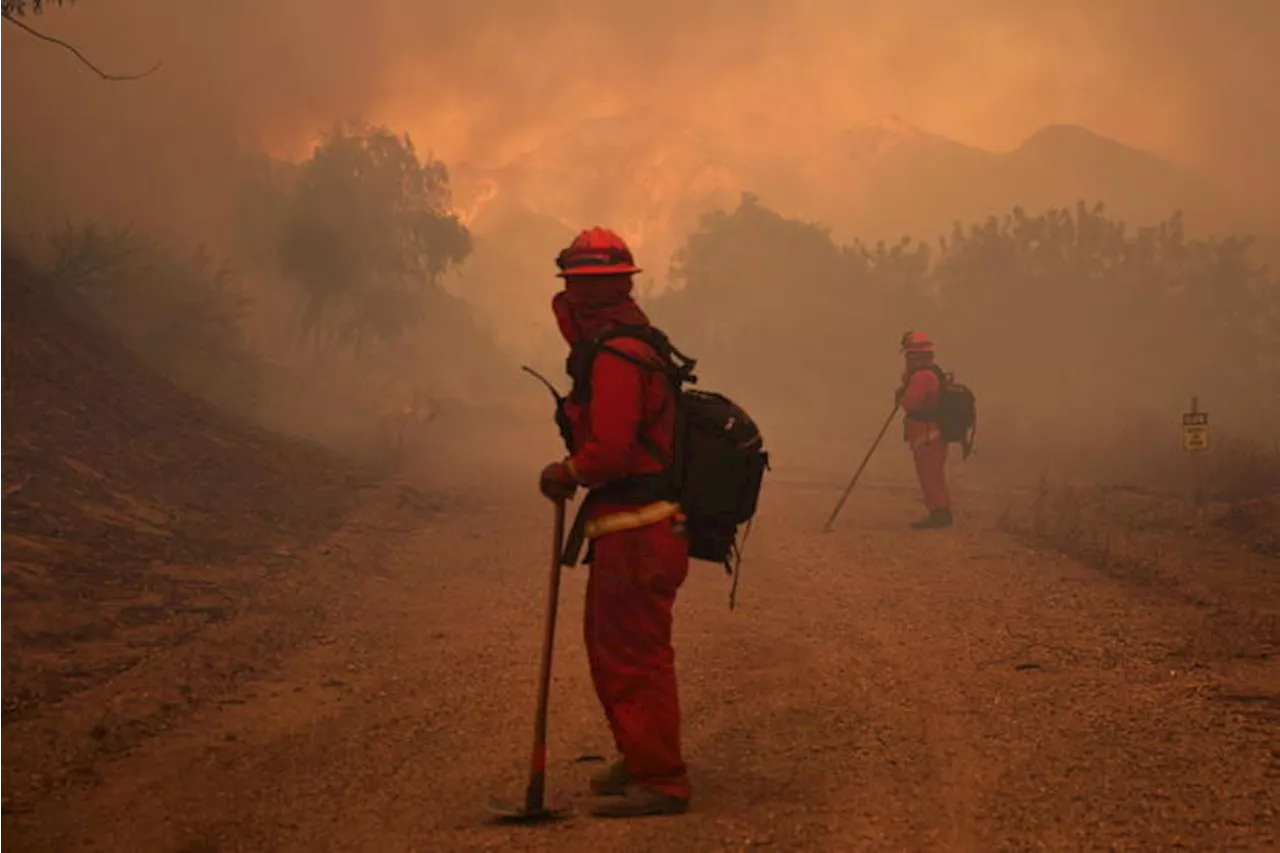 L'inferno di Los Angeles, , 'danni fino a 150 miliardi'