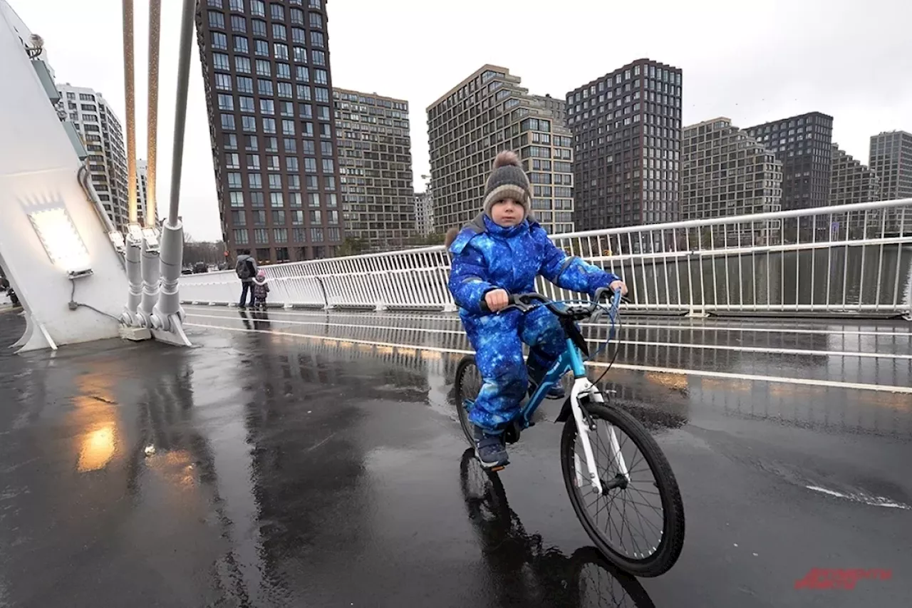 Аномальная Теплая Зима в Москве: Дождь, Таяние Снега и Ранняя Весна