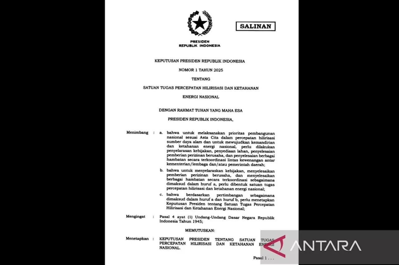 Presiden Bentuk Satuan Tugas Percepatan Hilirisasi dan Ketahanan Energi Nasional