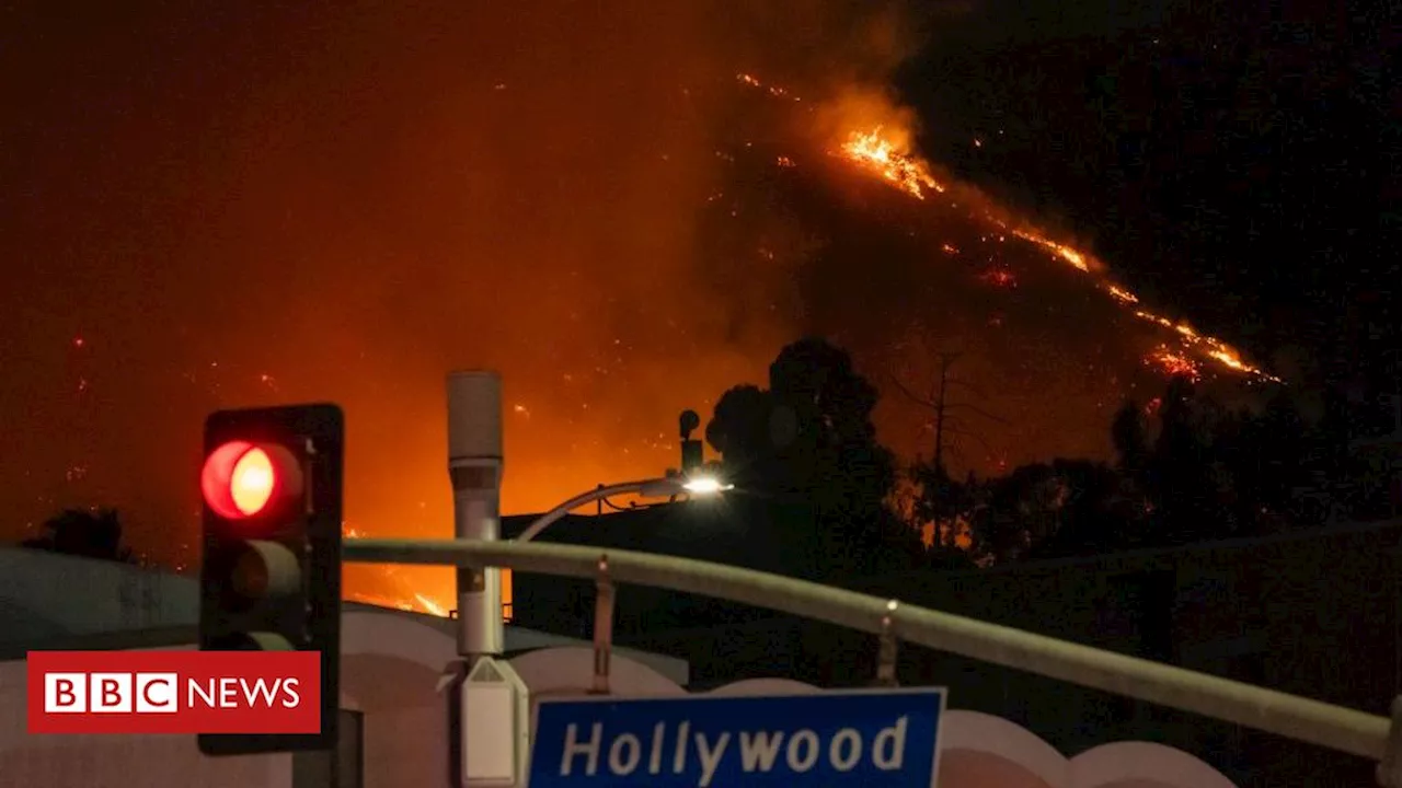 Incêndios em Los Angeles: como produções de Hollywood foram afetadas