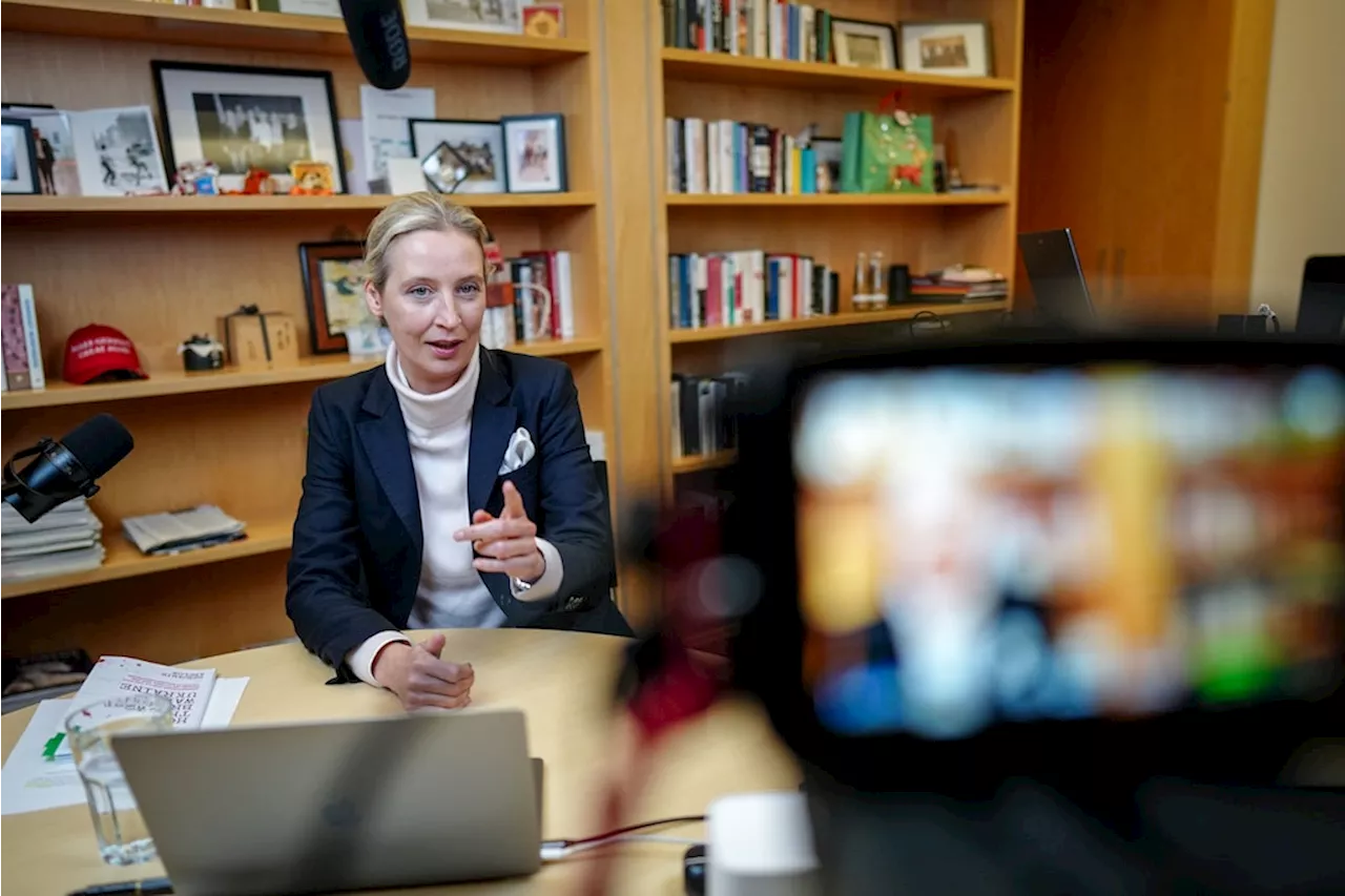 Historiker Zitelmann zu Weidel-Äußerung: „Hitler selbst sah sich als weder links noch rechts“