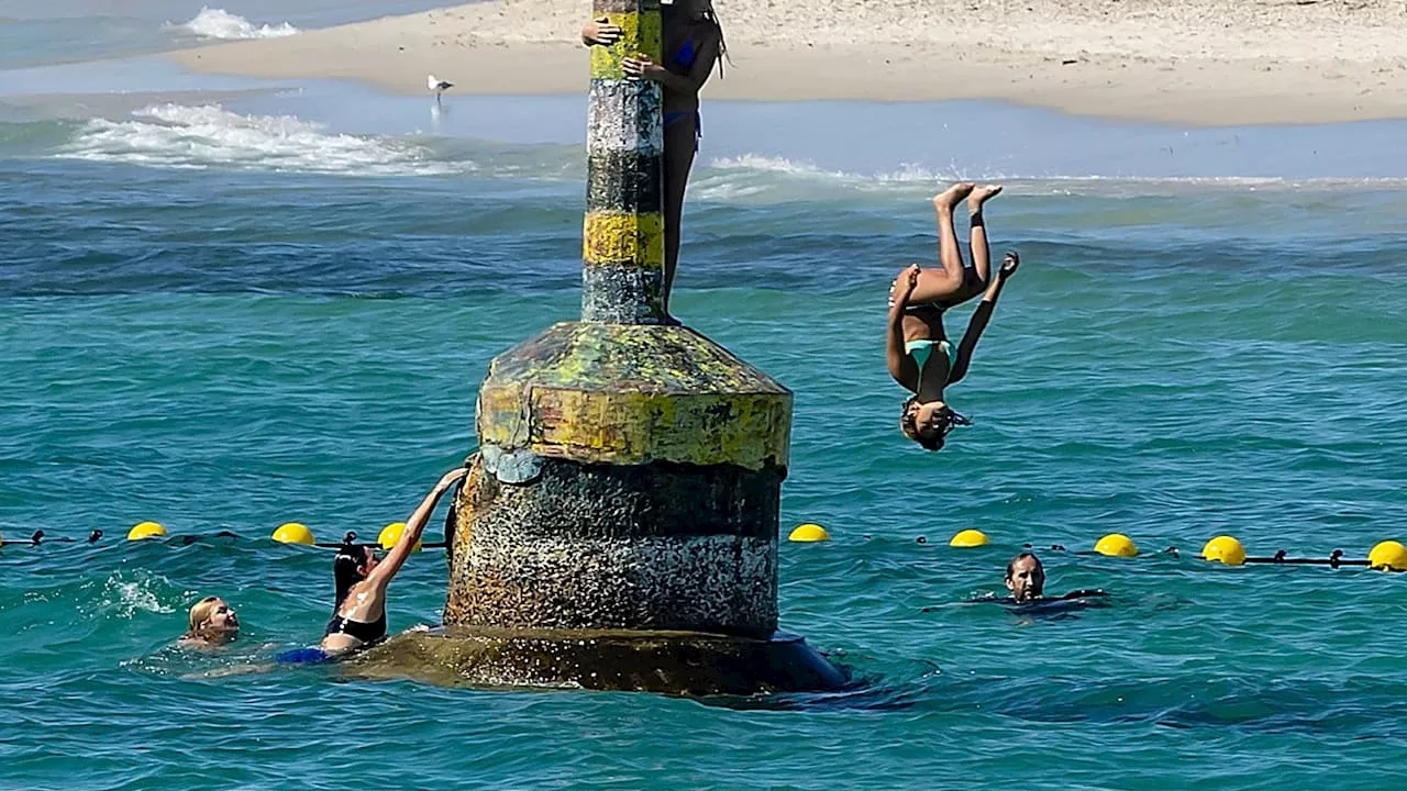 Hai an beliebtem Strand in Australien: Netz überwunden und Harpunen-Einsatz