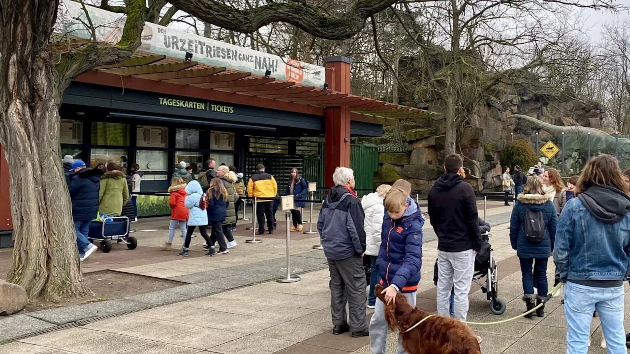 Maul- und Klauenseuche in Brandenburg! Tierpark Berlin schließt