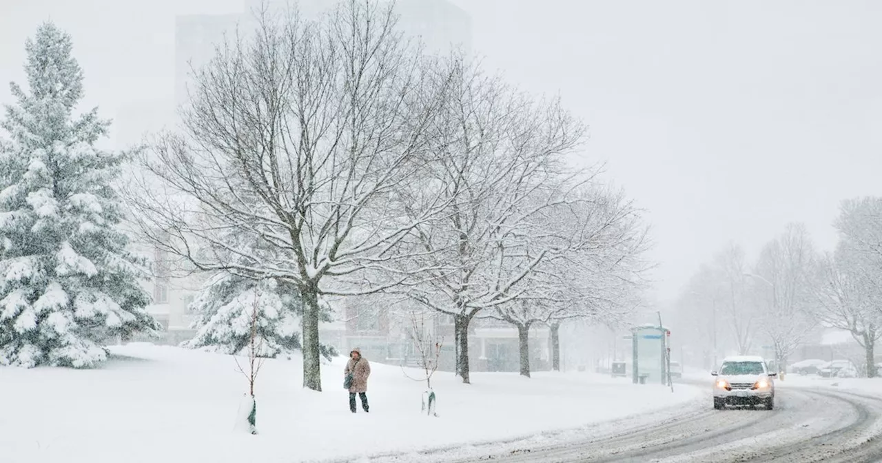 Ontario's remaining winter weather could be all over the place as La Niña arrives