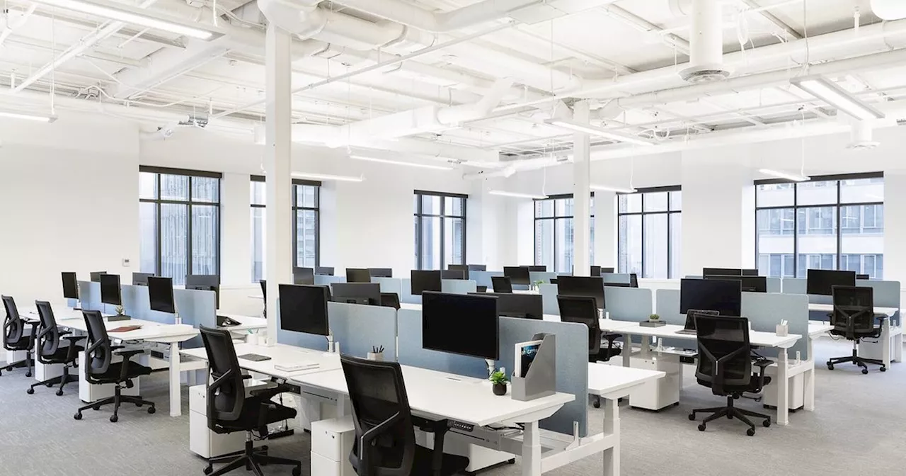Toronto's Thriving Tech Scene: Top Job Opportunities