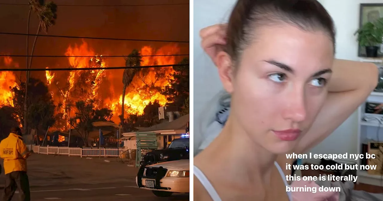 'Tone Deaf' Influencer Sparks Fury After 'Disgusting' Comment About Deadly California Wildfires