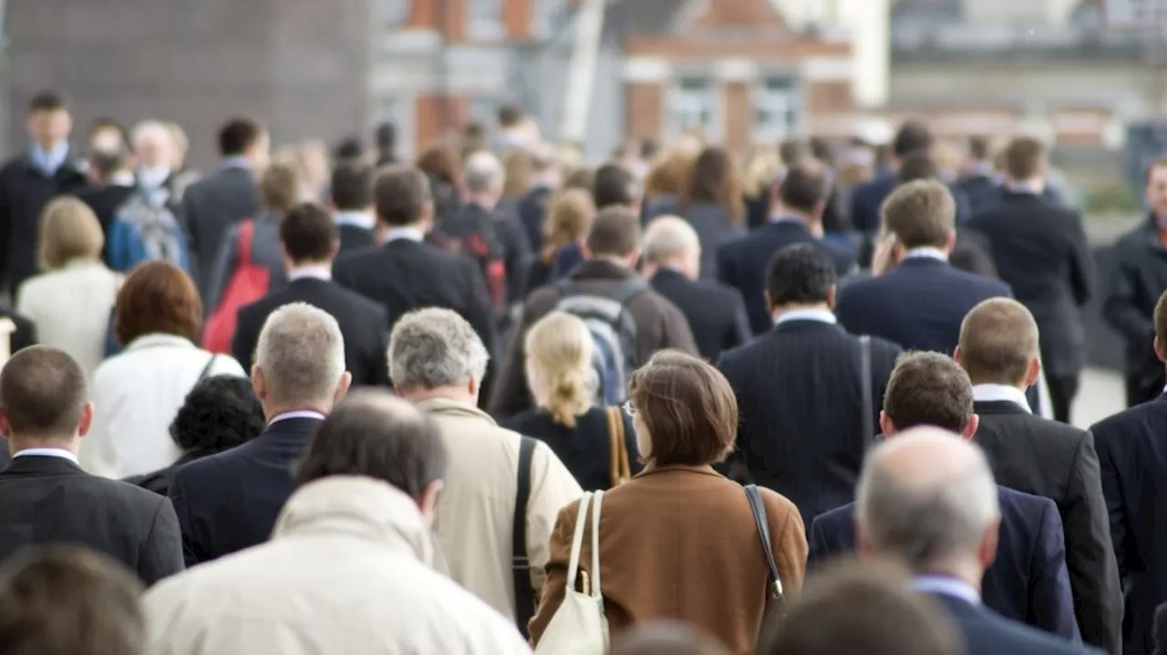 December's part-time gains overshadow full-time losses in B.C. labour market