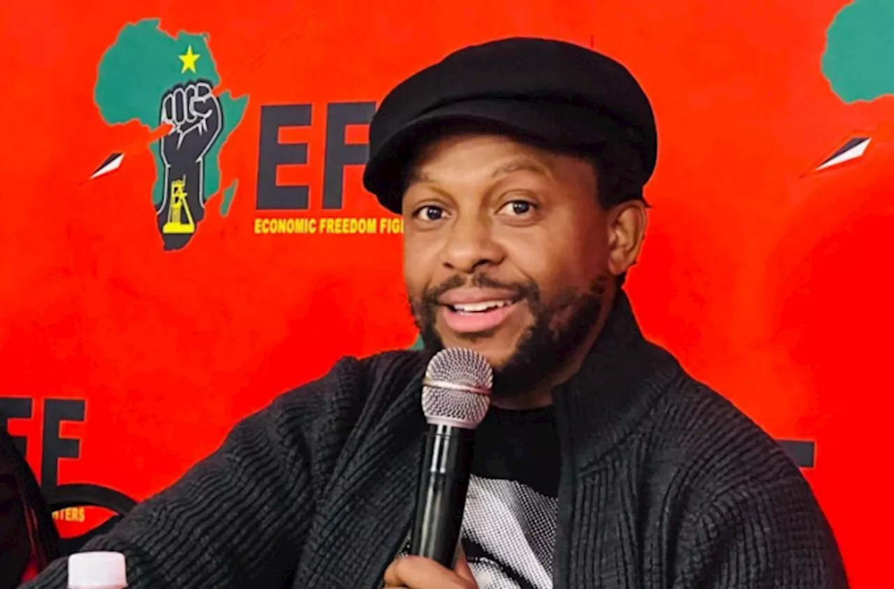 EFF's Mbuyiseni Ndlozi resigns from Parliament