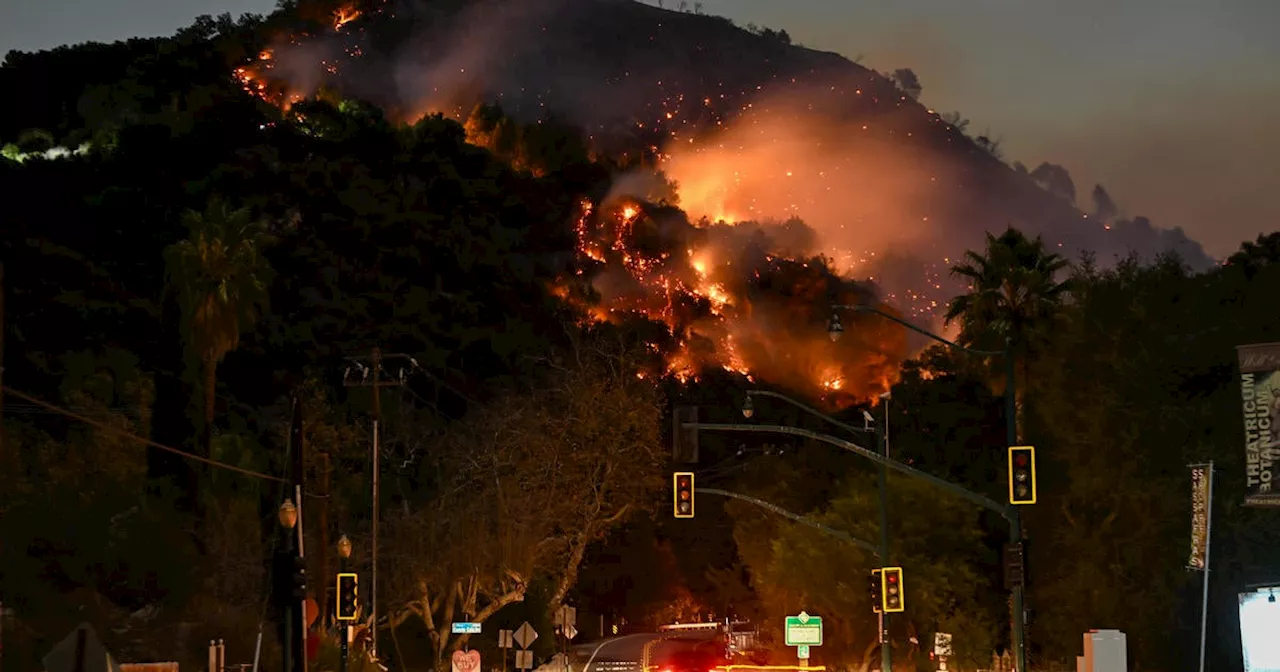 Erroneous Evacuation Alerts Trigger Fear Among Los Angeles County Residents