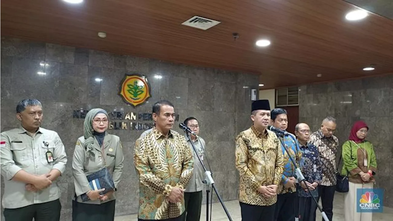 Demi Swasembada Pangan Prabowo, Transmigran Bakal Dapat Tugas Ini