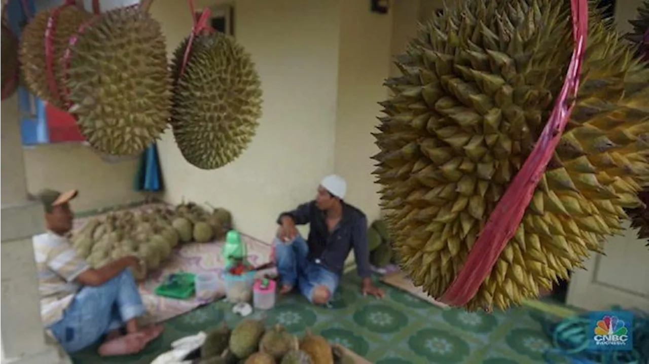 Tak Disangka, Buah Asli RI Ini Disukai Orang Eropa, Jadi Barang Mahal