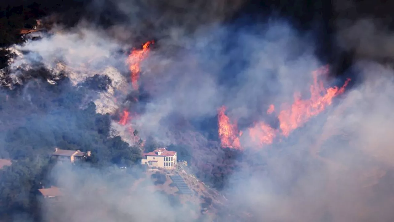 Canadian Firefighting Plane Hit by Drone in LA Wildfire