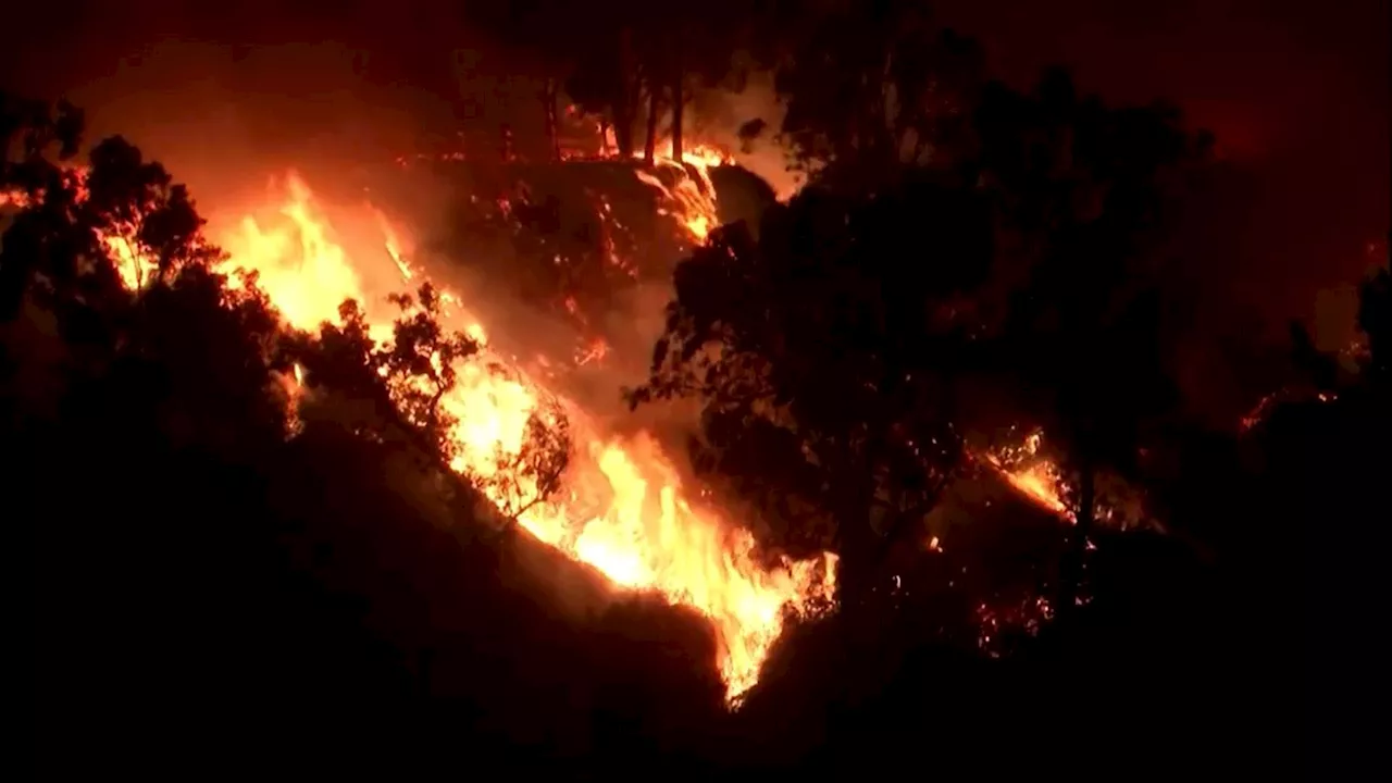 Incêndios de Eaton e Palisades: Imagens de satélite identificam pontos de origem