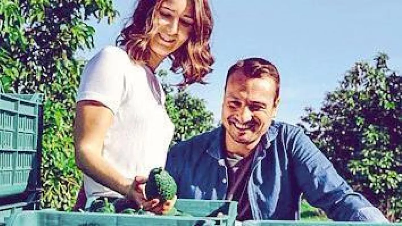 La Sicilia di Andrea e Marzia, la passione per gli avocado aiuta salute e ambiente