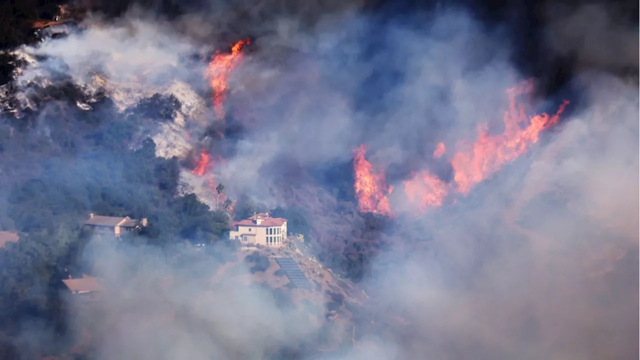 Canadian 'Super Scooper' plane grounded after hitting civilian drone over Los Angeles wildfires