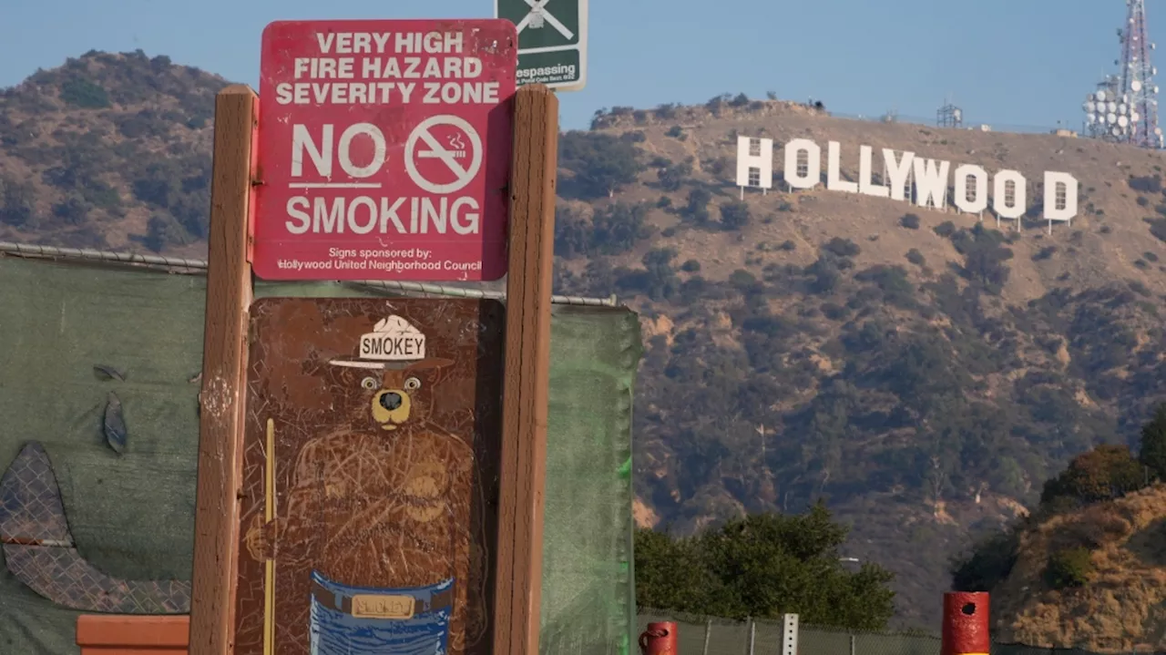 Hollywood Sign Remains Intact Amid LA Wildfires