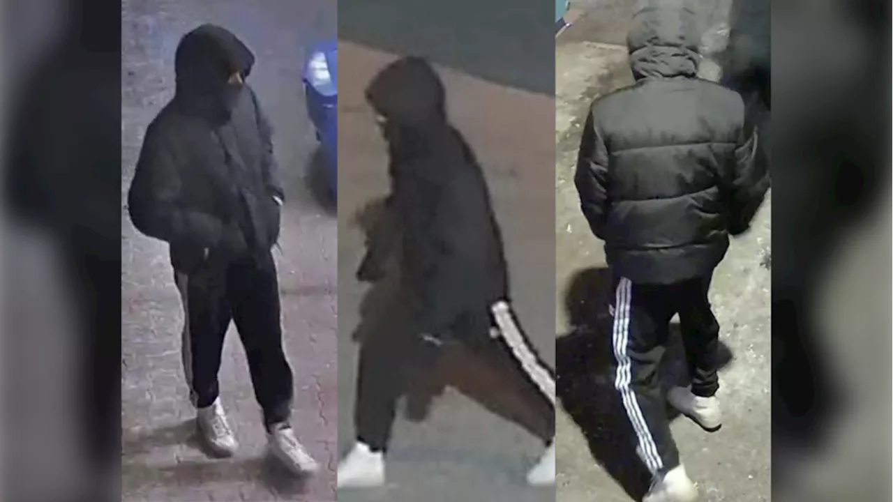 Toronto Police Seek Suspect in Stabbing and Attempted Carjacking