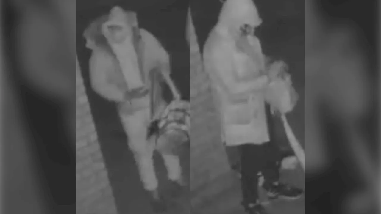 York Police Seek Suspects in Markham Arson