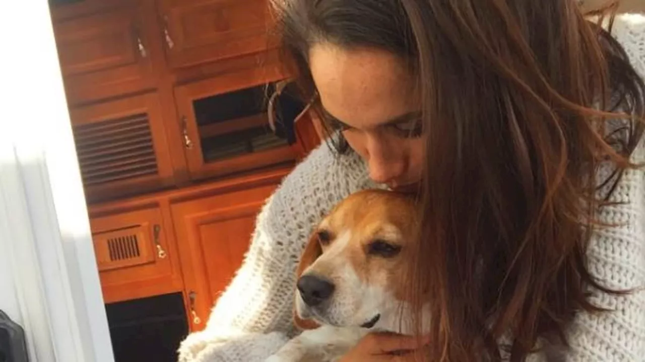 Inside Meghan's special relationship with her beloved rescue dog Guy: After falling in love with the...