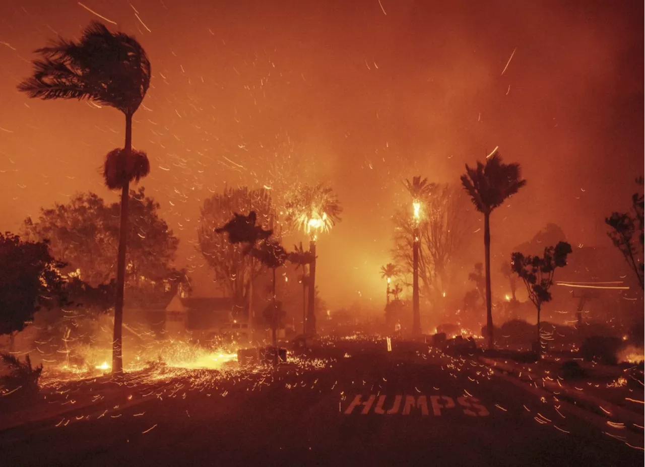 Democrats exploit Los Angeles wildfire tragedy to advance climate change hysteria