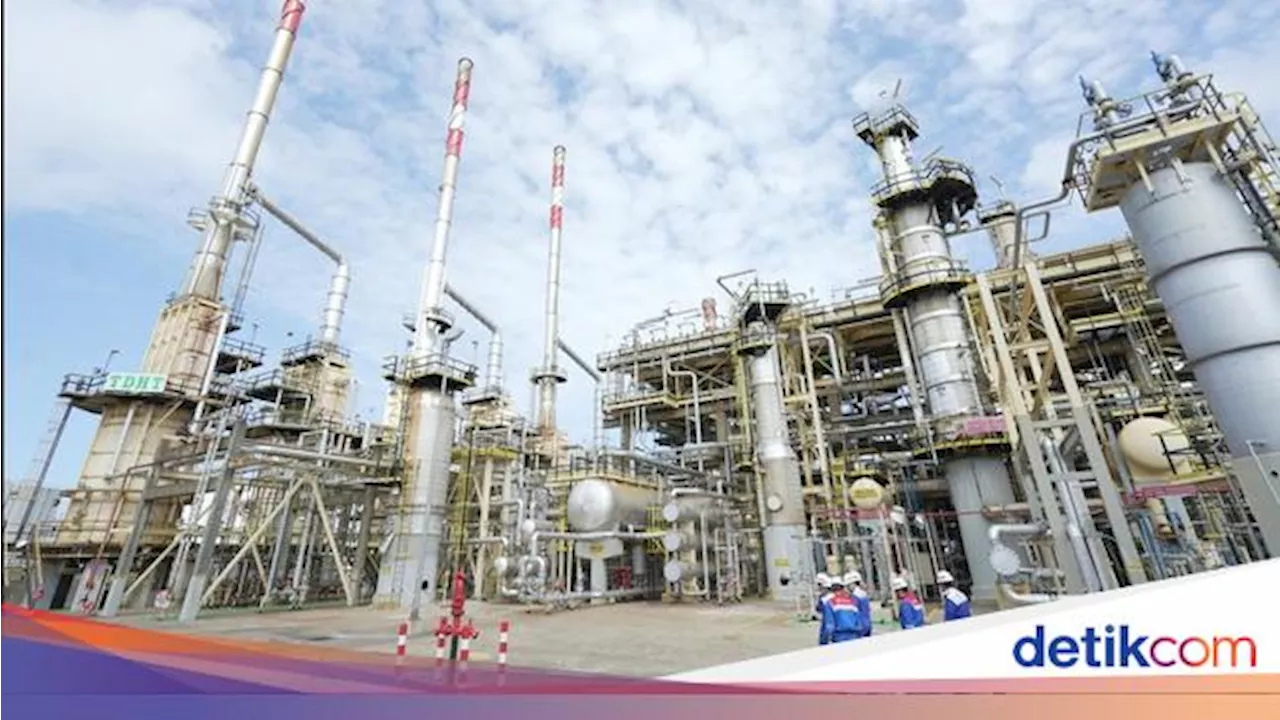 Kilang Pertamina Internasional Siap Produksi SAF Tersertifikasi