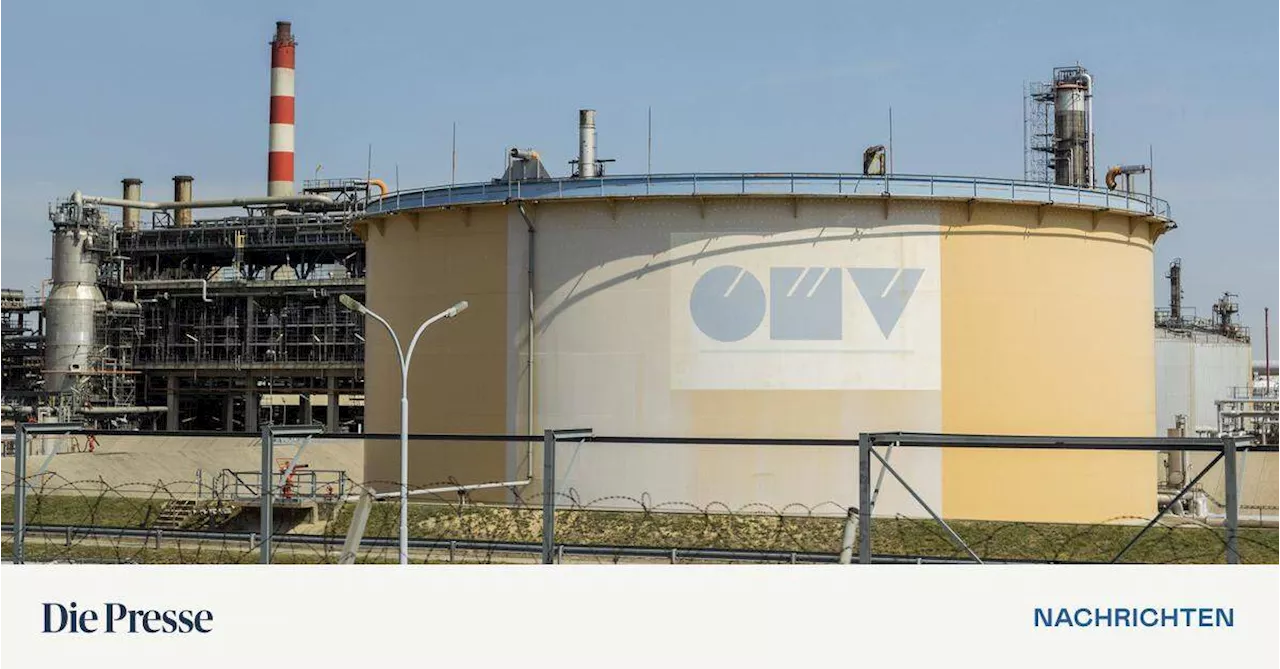 Rechnungshof: E-Control hätte OMV-Gasverträge einsehen müssen