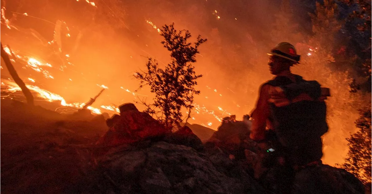 Waldbrände in Los Angeles hinterlassen Schneise der Verwüstung