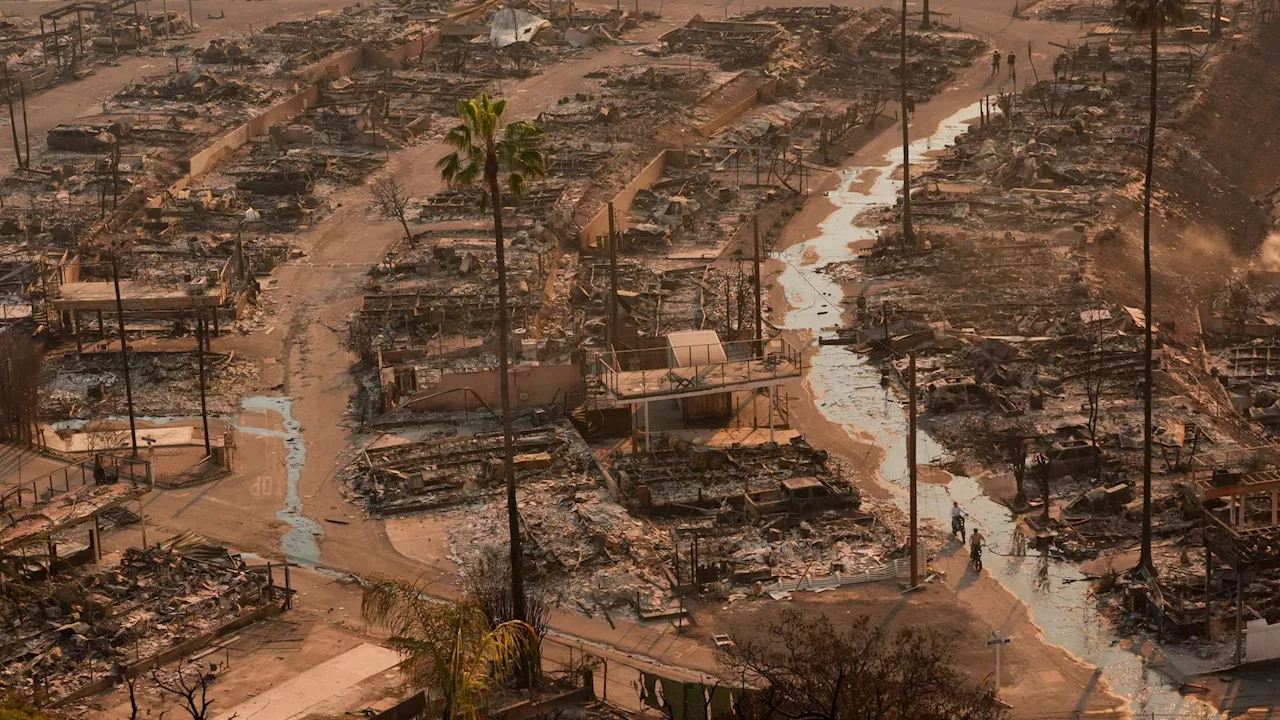  Feuerwehr kämpft weiter gegen Großbrände im Raum Los Angeles - Ausgangssperren wegen Plünderern verhängt