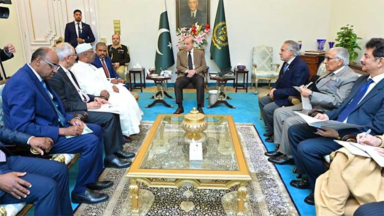 PM reaffirms unwavering support for OIC's shared goals