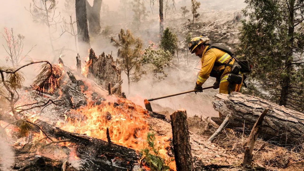 Incendios en Los Ángeles: herramienta permite saber si su hogar en California está en riesgo