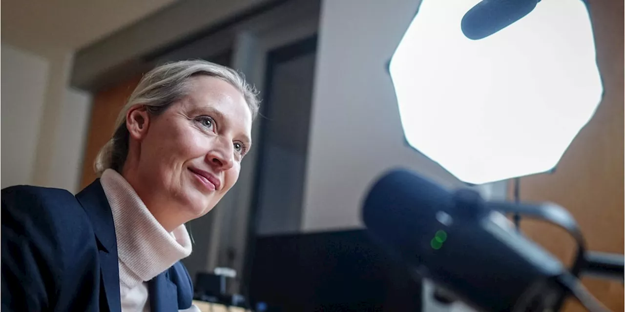 Experte kritisiert AfD-Chefin: Weidel versäumt Chance bei Musk-Gespräch