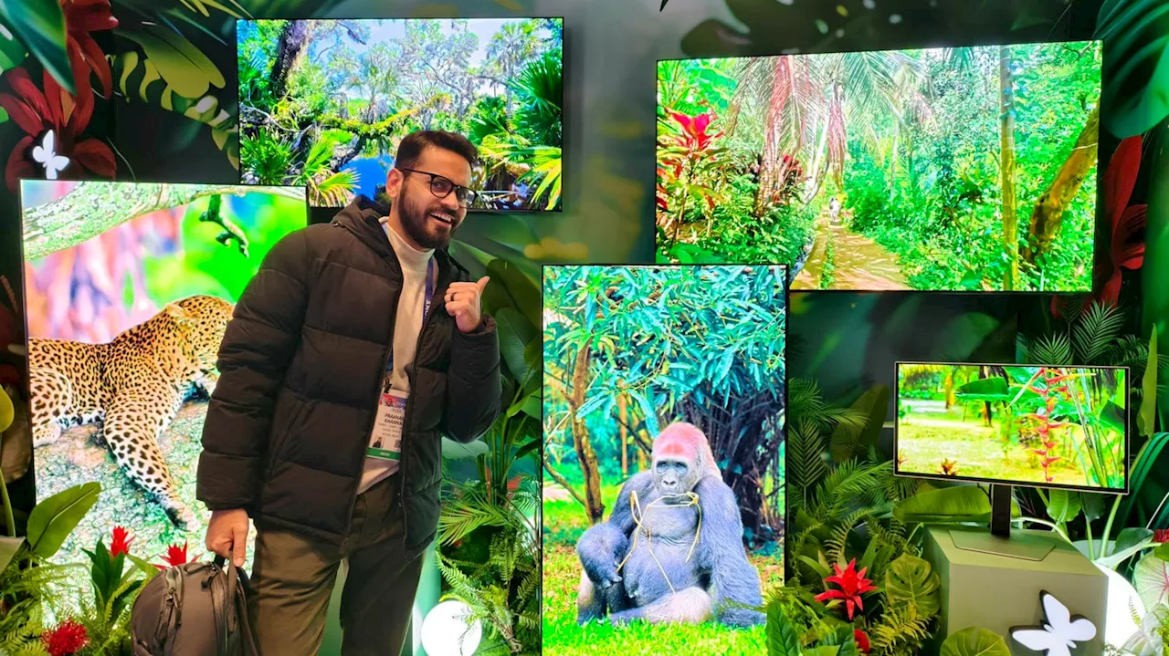 The Glamorous TVs Of CES 2025 Include OLED, QLED And Transparent Displays