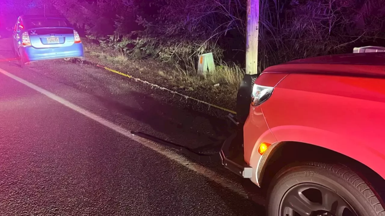 'Fish on': Thurston County deputies cast a line, catch fleeing suspect with grappler