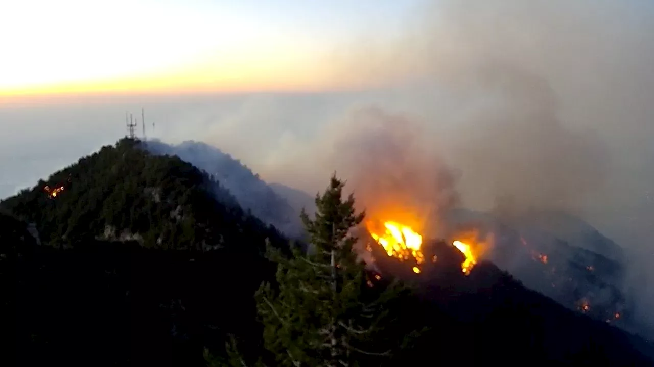 California Wildfires Ravage Iconic LA Communities