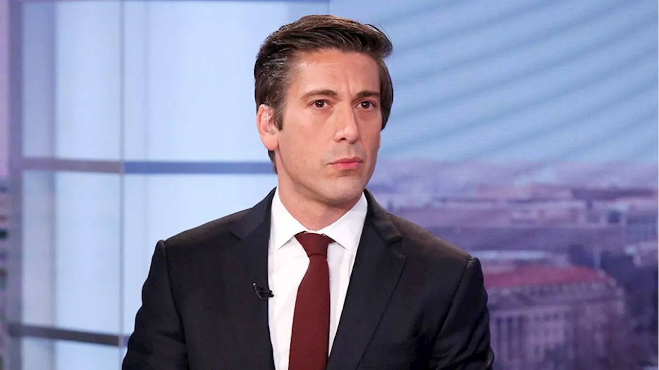 ABC's David Muir Slammed for Using Clothespins on Jacket During Wildfire Report