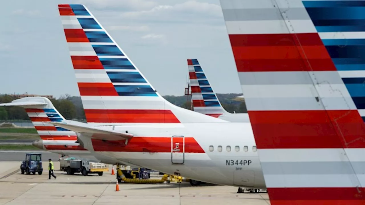 American Airlines’ use of ‘ESG activist’ BlackRock failed workers, US judge says