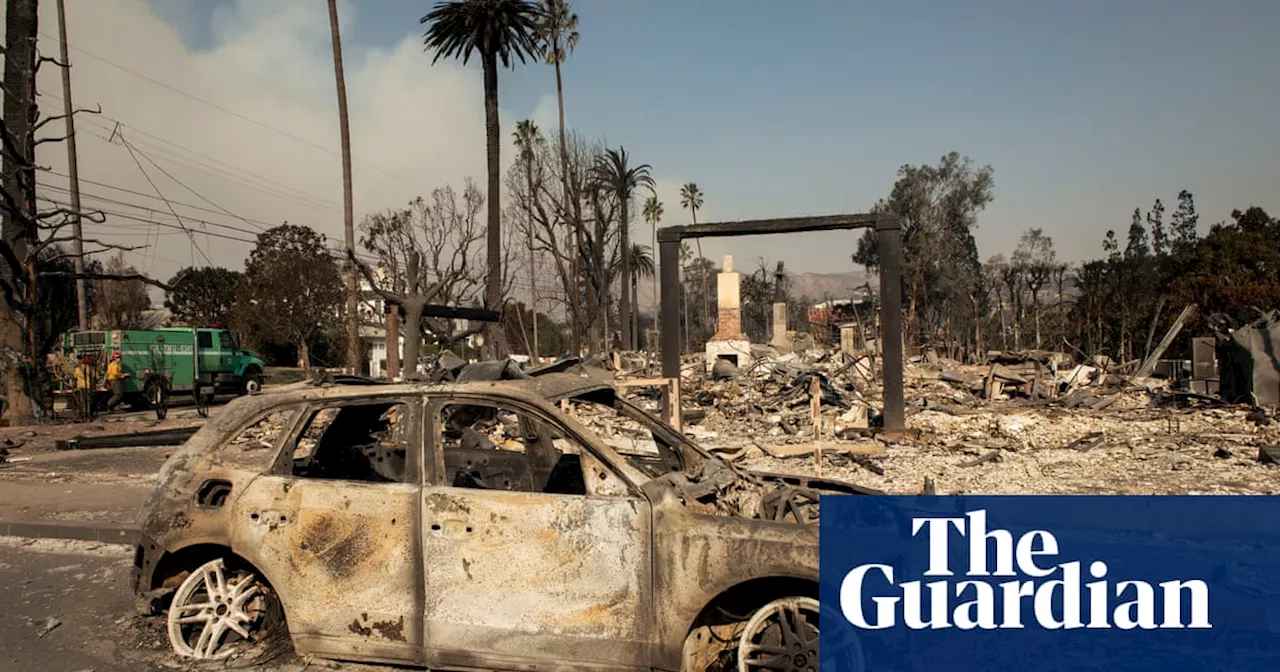 Mangled trees, charred homes and ashen land: inside a community leveled by the Palisades fire