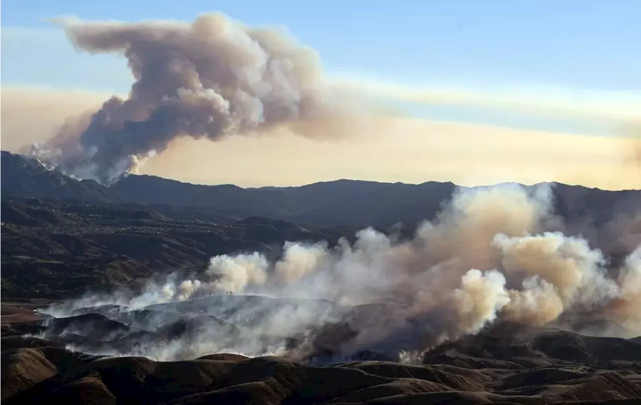 Santa Ana, Sang Angin Penyebar Neraka di Hollywood dan Los Angeles