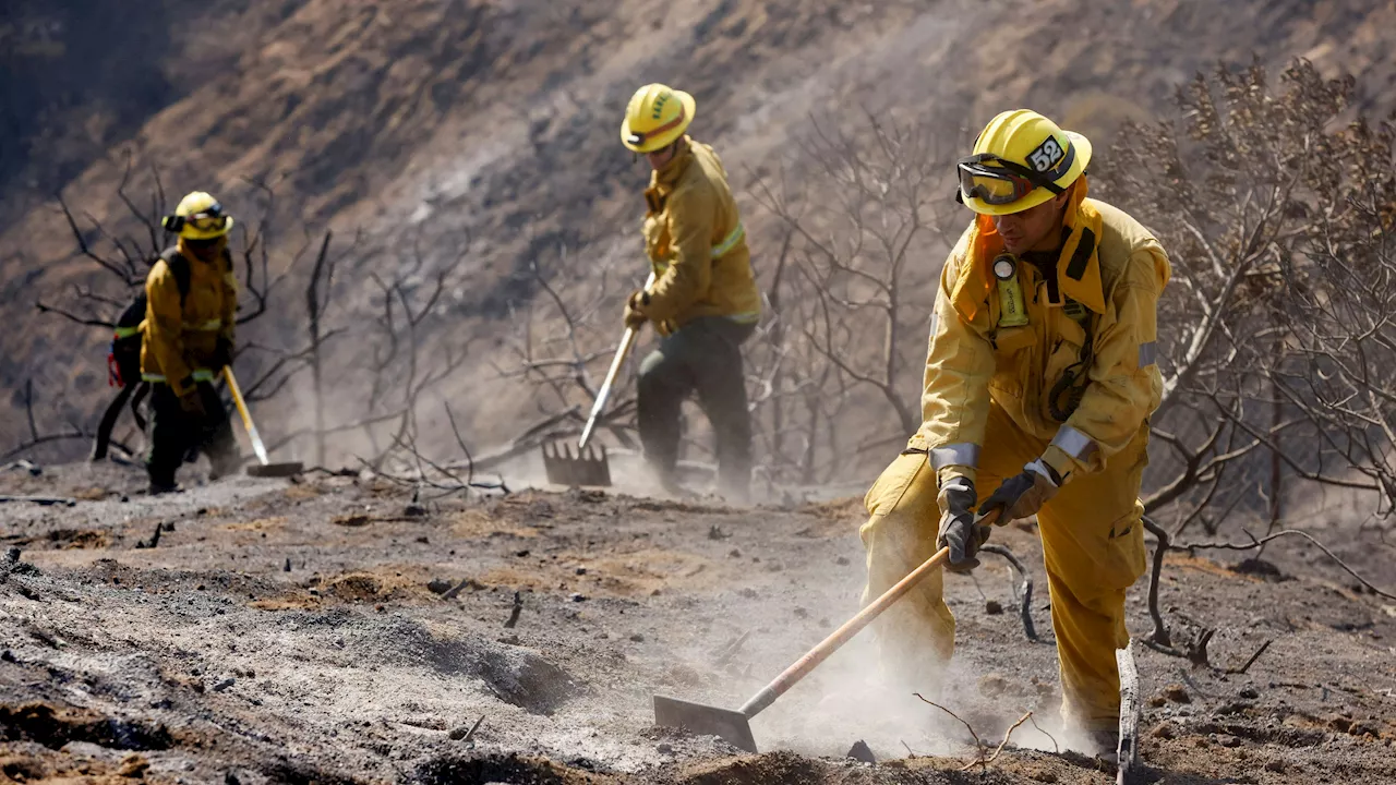 – Neuer Brand bereitet der Feuerwehr Sorge